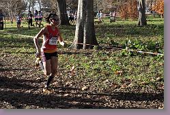 Begles 15.12.13 01 728 * 679 x 453 * (230KB)